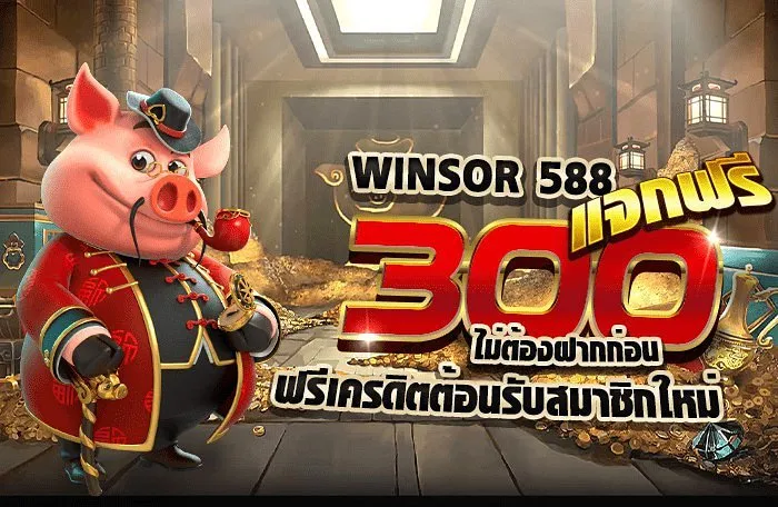 winsor588